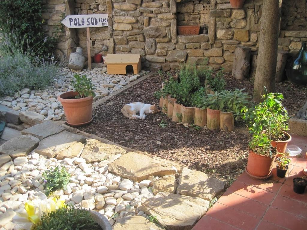 Rosandra Bed and Breakfast San Dorligo della Valle Exteriör bild
