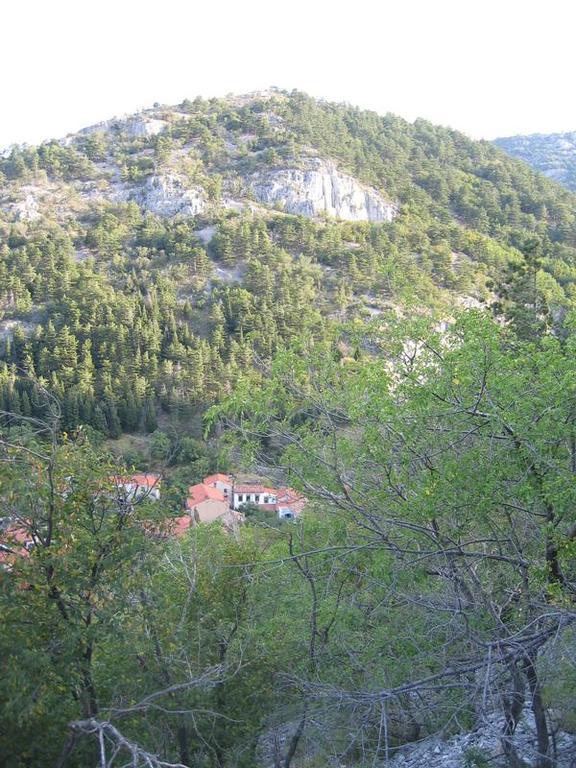 Rosandra Bed and Breakfast San Dorligo della Valle Exteriör bild